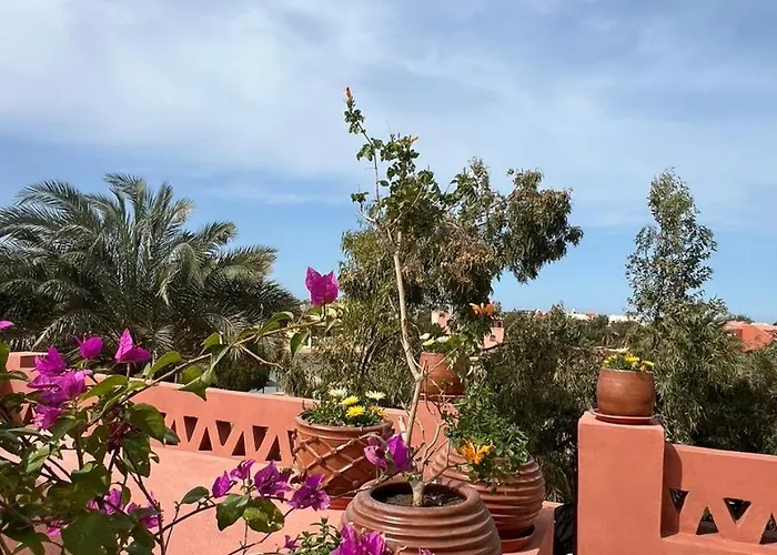 Cozy In El Kafr Downtown 2br & Roof شقة